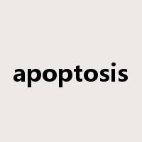 apoptosis是什么意思