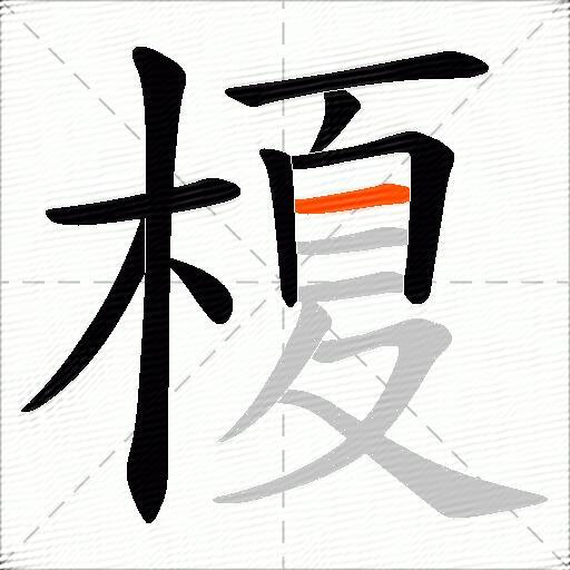 榎