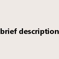 brief description是什么意思