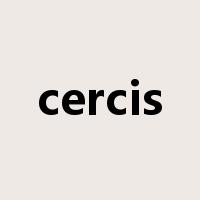 cercis是什么意思