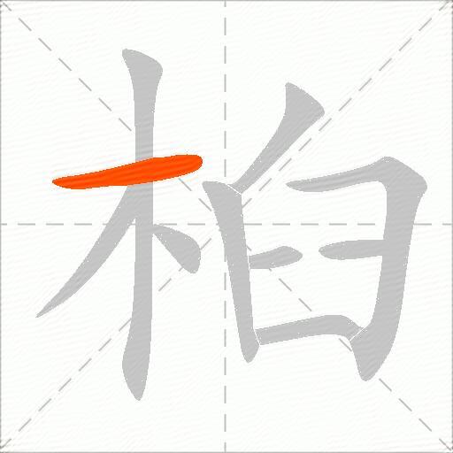 桕