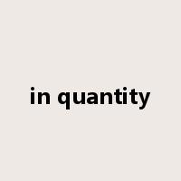 in quantity是什么意思