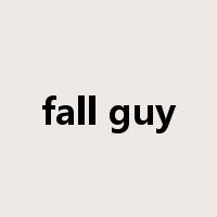 fall guy是什么意思