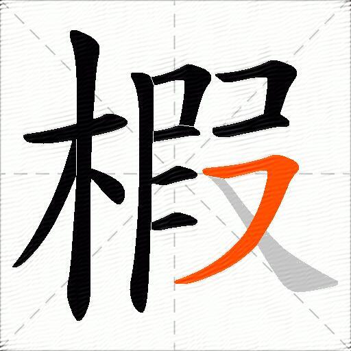 椵