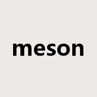 meson是什么意思