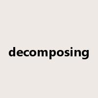decomposing是什么意思
