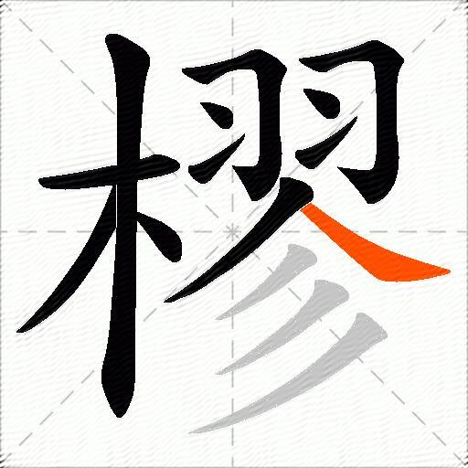 樛