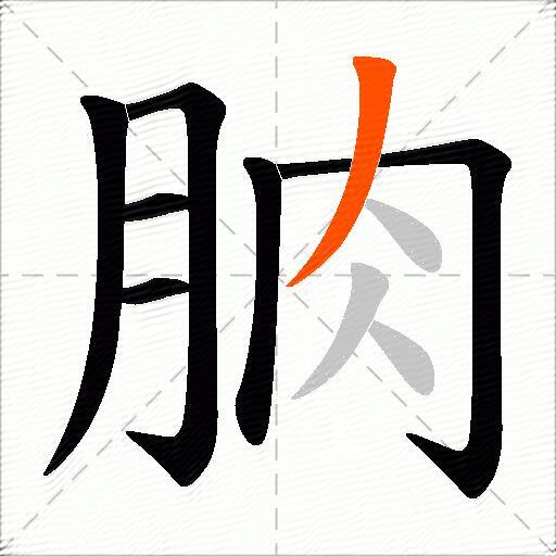 朒