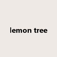 lemon tree是什么意思
