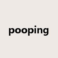 pooping是什么意思