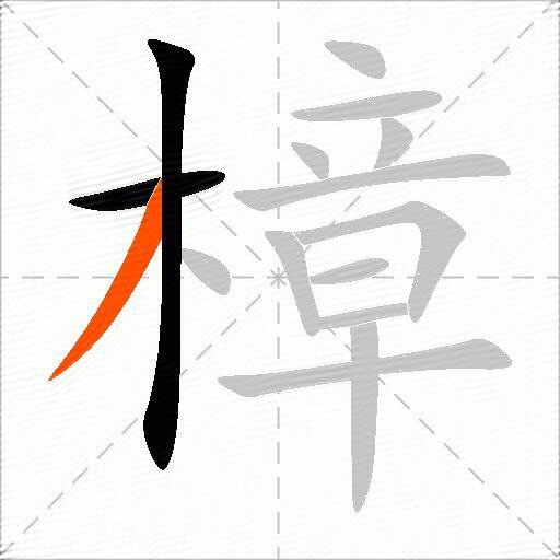 樟