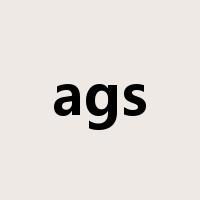 ags是什么意思