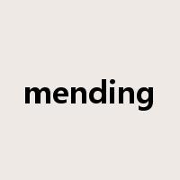 mending是什么意思