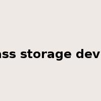 mass storage device是什么意思