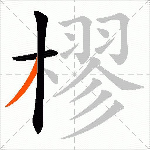 樛