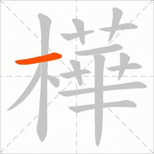 樺