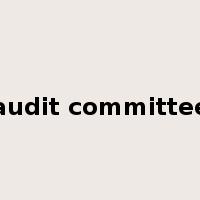 audit committee是什么意思