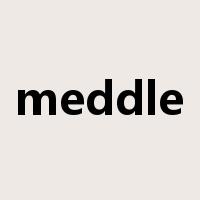 meddle是什么意思