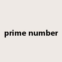 prime number是什么意思