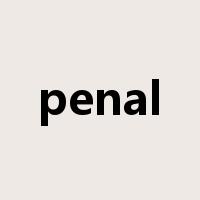 penal是什么意思