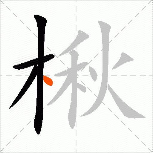 楸