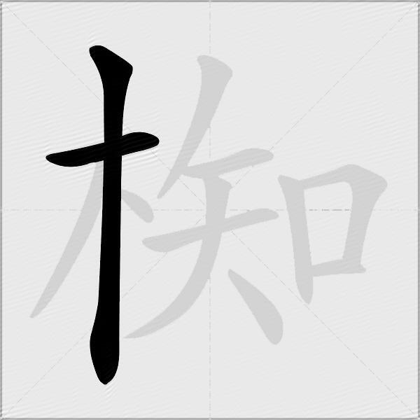 椥