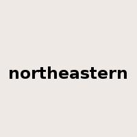 northeastern是什么意思