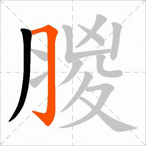 朡