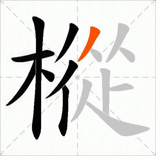 樅