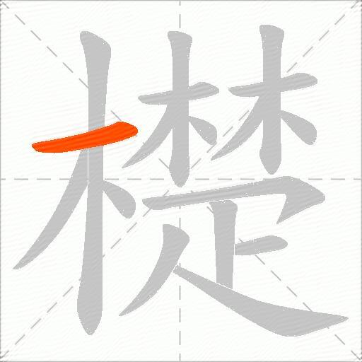 檚
