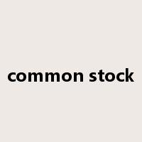 common stock是什么意思