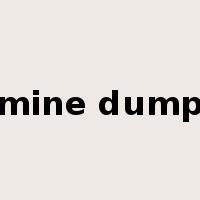 mine dump是什么意思