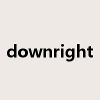 downright是什么意思