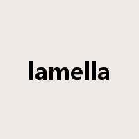 lamella是什么意思