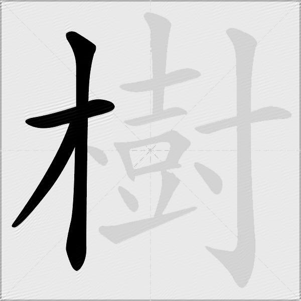 樹