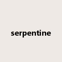 serpentine是什么意思
