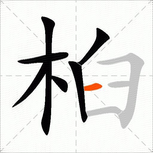桕