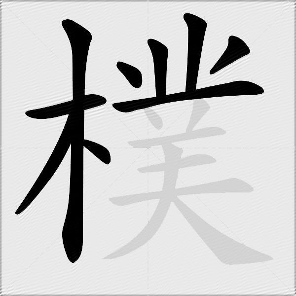 樸
