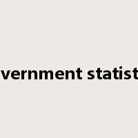 government statistics是什么意思