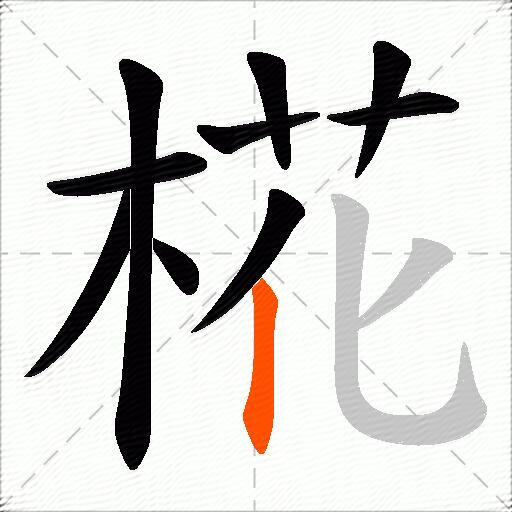 椛