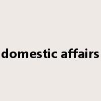 domestic affairs是什么意思