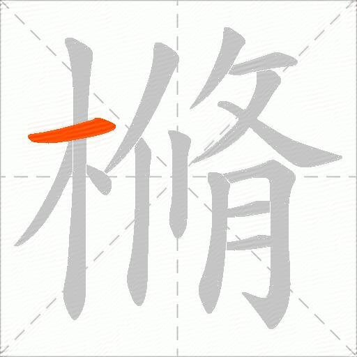 樇