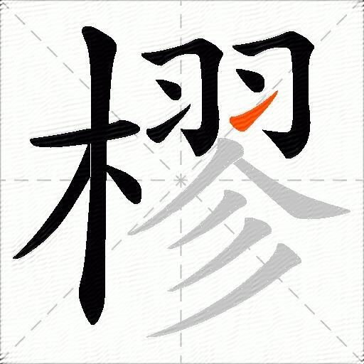 樛
