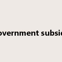 government subsidy是什么意思