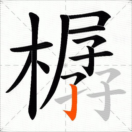 樼