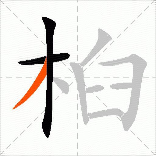 桕