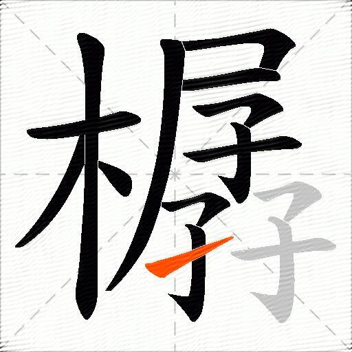 樼