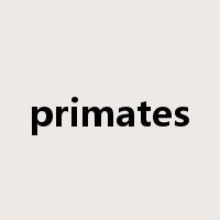 primates是什么意思