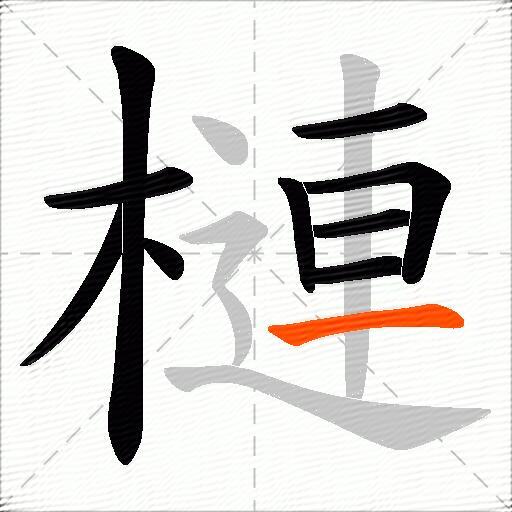槤