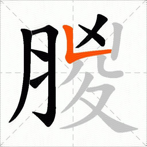 朡